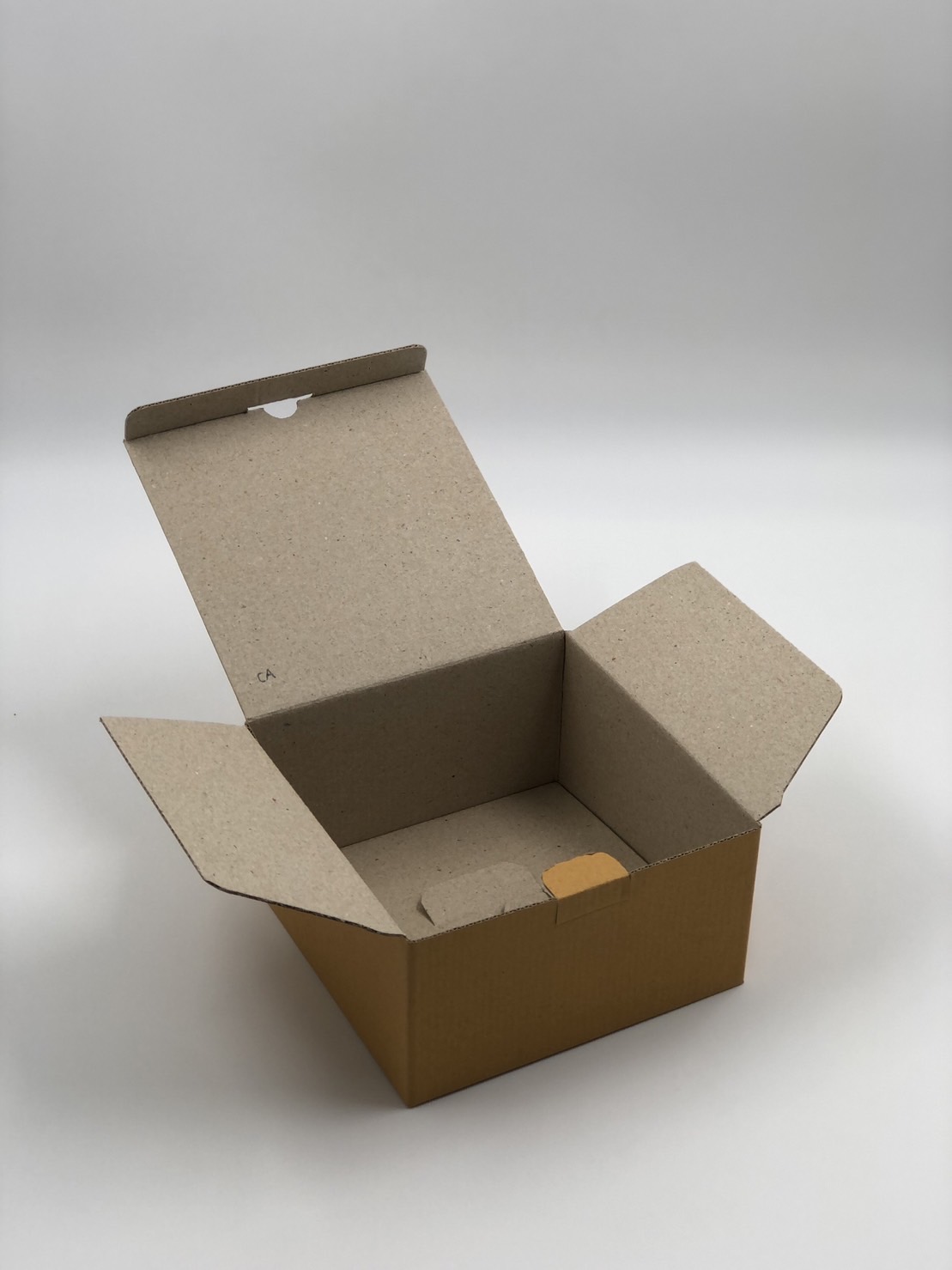 Pulp Mold Packaging (Paper Tray)